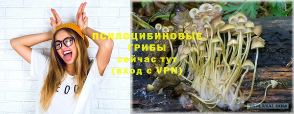 мяу мяу мука Арсеньев