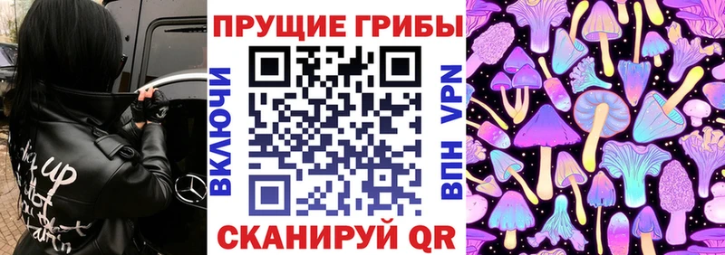 где найти   Нурлат  Галлюциногенные грибы ЛСД 
